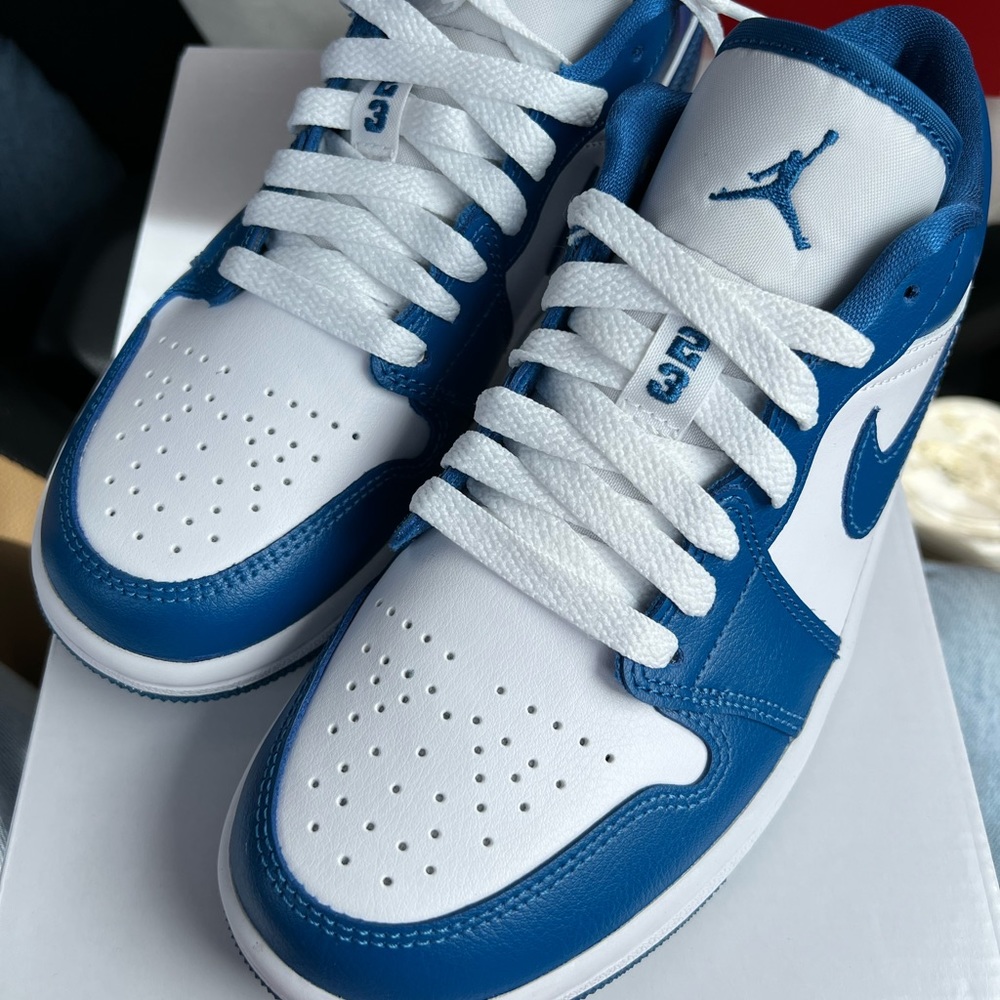 NWT JORDAN AIR 1 LOW 23